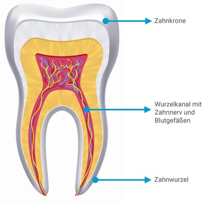 Wurzelbehandlung AllDent 